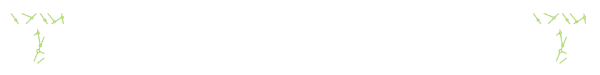 Techcraft logo naziv bijeli